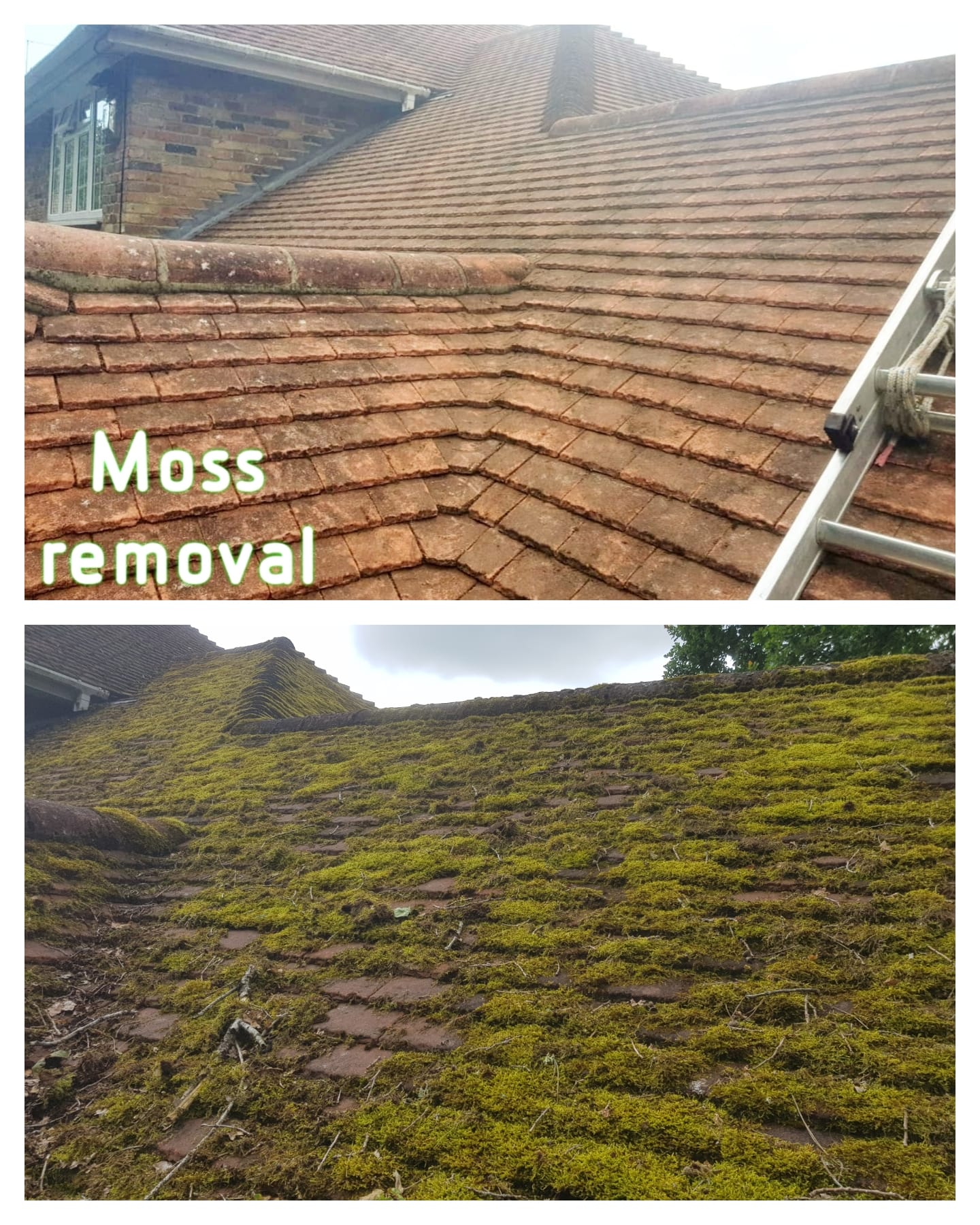 roof-cleaning image 32